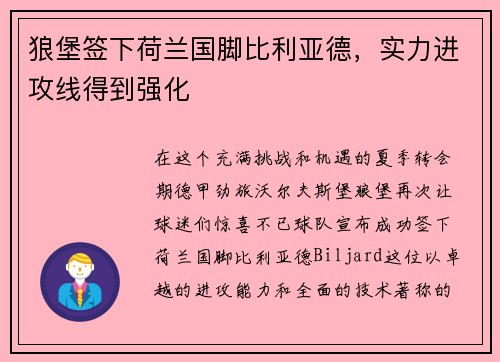 狼堡签下荷兰国脚比利亚德，实力进攻线得到强化